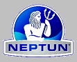 Schwimmbecken Einbauteile in Edelstahl von Neptun